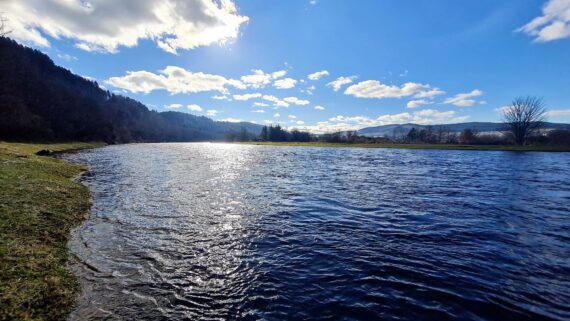 Looking upriver from Burnmouth at Rothes, one of the best casts in the spring.