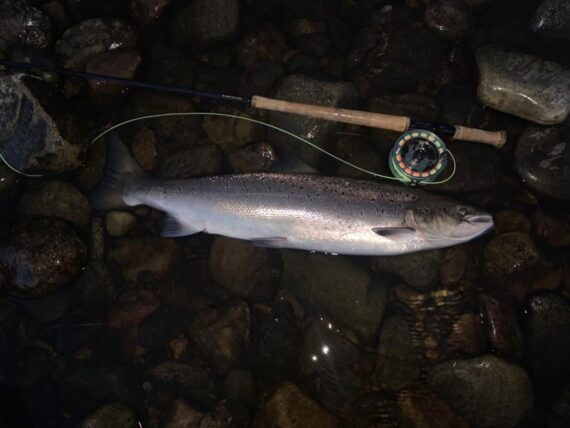 An 18lb salmon from Knockando Home beat. That would have been good sport in the dark!