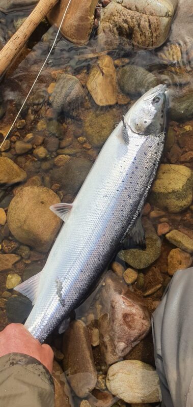 A stunning bar of silver