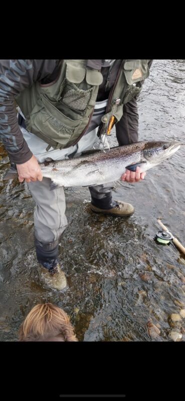 Another reasonably fresh fish