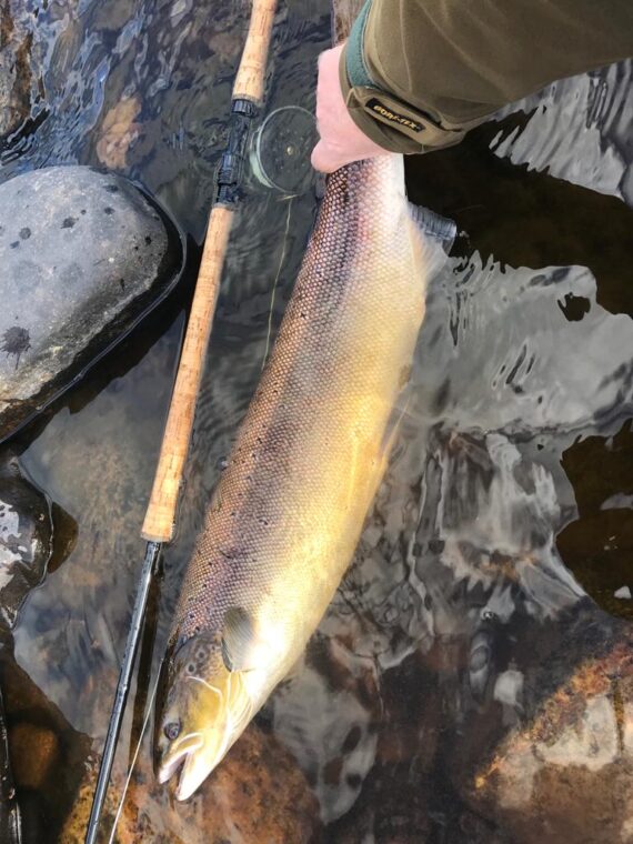 Charlie Harmanโs 10lb fish