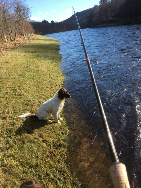 I was sent this picture form the riverbank on Saturday with the caption โHeavenโ. It certainly was a glorious day to be on the river.