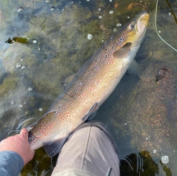 Paul Davidson with a fine 15lb fish