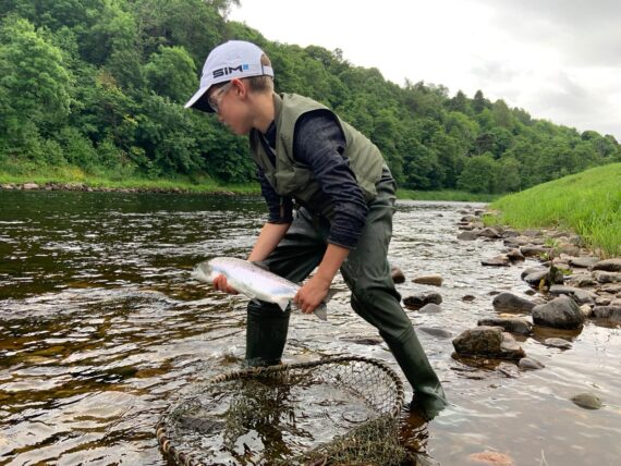 And back another grilse goes!
